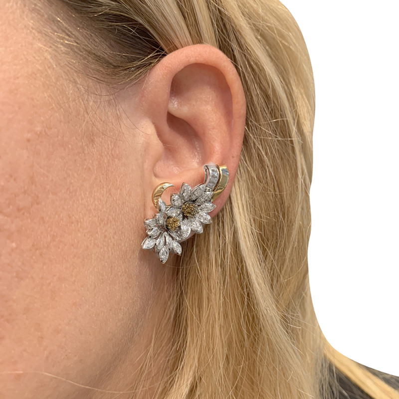 Boucles d'oreilles, "Edelweiss", en or jaune, platine et diamants.